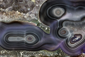 Images Dated 23rd January 2013: Banded Agate, Quartzsite, AZ