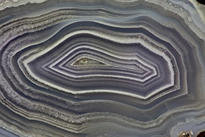Images Dated 23rd January 2013: Banded Agate, Quartzsite, AZ