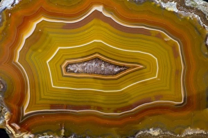 Images Dated 25th January 2013: Banded Agate, Quartzsite, AZ