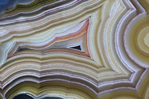 Images Dated 2nd January 2013: Banded Agate Sammamish Washington