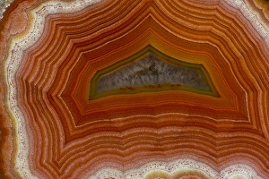Images Dated 27th July 2013: Banded Agate Sammamish Washington