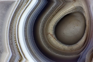 Images Dated 9th August 2013: Banded Agate Sammamish Washington