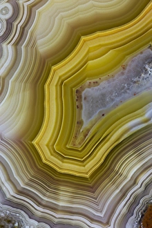 Images Dated 9th August 2013: Banded Agate Sammamish Washington