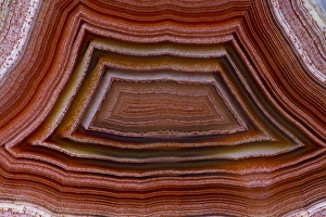 Images Dated 1st December 2013: Banded Agate Sammamish Washington