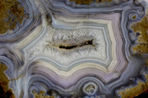 Images Dated 2nd December 2013: Banded Agate Sammamish Washington