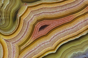 Images Dated 7th December 2013: Banded Agate Sammamish Washington