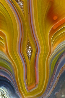 Banded Agate Sammamish Washington