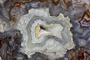 Images Dated 14th February 2014: Banded Agate Sammamish Washington