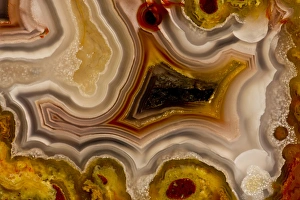 Natural Pattern Prints: Banded Mexican Agate, Sammamish WA