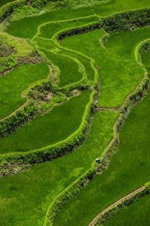 Images Dated 25th April 2011: Bangaan in the rice terraces of Banaue, Northern Luzon, Philippines