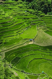 Images Dated 25th April 2011: Bangaan in the rice terraces of Banaue, Northern Luzon, Philippines