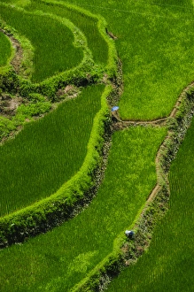 Images Dated 25th April 2011: Bangaan in the rice terraces of Banaue, Northern Luzon, Philippines