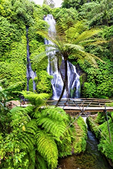 Bali Prints: Banyumala Twin Waterfalls, located in the North Bali region near the village of Wanagiri