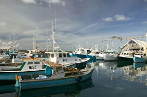BARBADOS, Bridgetown, Detail of the Fishing Harbour