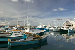 Images Dated 21st December 2005: BARBADOS, Bridgetown, Detail of the Fishing Harbour