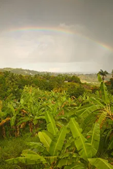 Banana Leaf Prints: BARBADOS, St. Joseph Parish, Grey Clouds, Rainbow, Tropical Vegetation