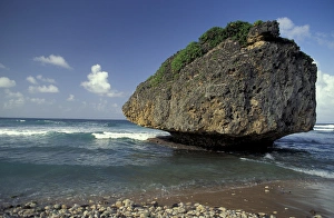 West Indies Prints: Barbados, West Indies. Bathsheba