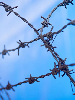 Safety Prints: Barbed wire sticks out against the blue sky in Bangalore, Karnataka, India