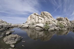 Images Dated 26th October 2006: Around Barker Dam, Joshua Tree National Park, California, US