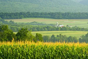Images Dated 18th July 2006: Barn and surrounding farm fields in Pennsylvania countryside