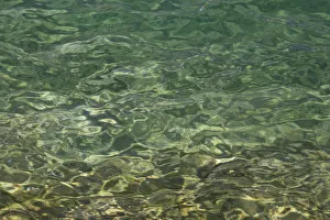 Sawtooth National Recreation Ar Prints: Baron Lake Ripples, Sawtooth Mountains, Idaho
