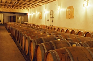 Mature Prints: The barrel aging cellar at Chateau Caillou in Sauternes. Choteau Caillou, Barsac