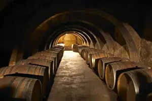 The barrel aging cellar with lines of barriques and dramatic lighting. Chateau Mourgues