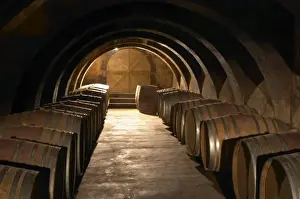 Maturing Prints: The barrel aging cellar with lines of barriques and dramatic lighting. Chateau Mourgues