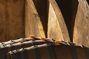 The barrel aging cellar with lines of barriques and dramatic lighting. Chateau Mourgues