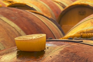 Maturing Prints: A detail of a barrel with the silicone bung hole stopper with some wine seeping out