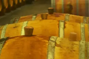 Chateau Longueville Prints: Barrels in the cellar being cleaned with sulphur - Chateau Baron Pichon Longueville