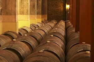 Barrels for storing the wine in wood. Bodega Castillo Viejo Winery, Las Piedras, Canelones