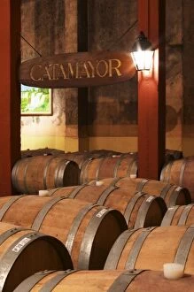 Barrels for storing the wine in wood.. A sign saying Catamayor. Bodega Castillo Viejo Winery