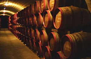 Cooperage Prints: Barrels of Tokaj wine stacked in the Disznoko cellars. Disznoko means pigs head