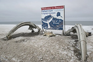 Maritime Prints: Barrow Alaska
