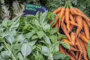 Basil and carrots at farmers market, USA