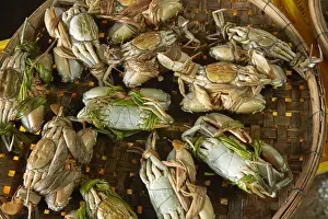 Basket of crabs, fish market, Hoi An (UNESCO World Heritage Site), Vietnam