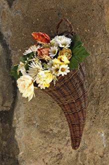 Images Dated 23rd September 2010: Basket of flowers on wall, Tuscany