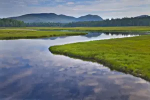 Wet Land Prints: Bass Harbor Marsh in Acadia National Park, Maine, USA