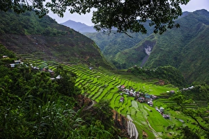 Images Dated 24th April 2011: Batad rice terraces part of the world heritage sight Banaue, Luzon, Philippines