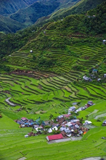 Batad rice terraces part of the world heritage sight Banaue, Luzon, Philippines