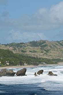 Images Dated 9th February 2011: Bathsheba Beach Barbados, Caribbean