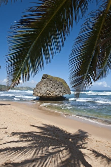 West Indies Prints: Bathsheba Beach Barbados, Caribbean