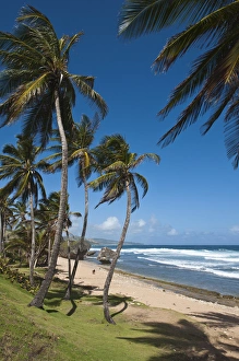 Images Dated 9th February 2011: Bathsheba Beach Barbados, Caribbean