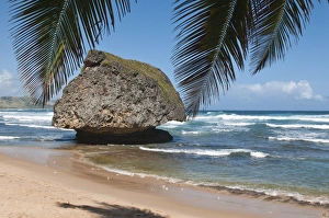 Images Dated 9th February 2011: Bathsheba Beach Barbados, Caribbean
