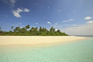 Images Dated 3rd April 2010: Baughagello Island, South Huvadhoo Atoll, Southern Maldives, Indian Ocean