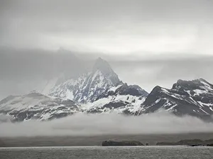 Overseas Territory Prints: Bay of Isles with Salisbury Plain on South Georgia