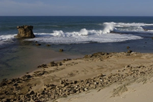 Images Dated 5th December 2005: Beach of Cap Sainte Marie Special Reserve on the southern most tip of MADAGASCAR