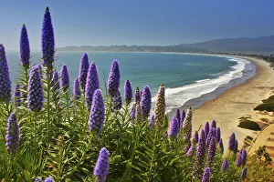Marin Headland Prints: Beach, Coastal Marin Headlands, California, USA