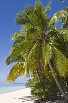 Aitutaki Prints: Beach on One Foot island, Aitutaki, Cook Islands